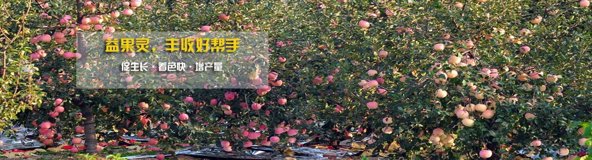 工程案例 工程案例